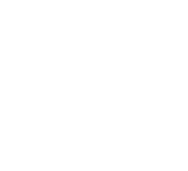 Tima Tiszta Magyarország Mozgalom