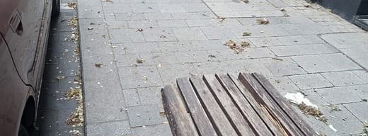 Megtisztított belvárosi homlokzat előtti járda
